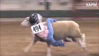 Competencia de niños montando ovejas en Iowa USA Competition children riding sheep [upl. by Frida]