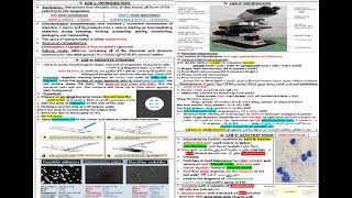 SHEET FINAL REVISION GENERAL MICROBIOLOGY شرح بالعربي [upl. by Asserac103]