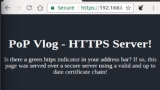 Create a Secure HTTPS Server with Node JS [upl. by Nysilla411]