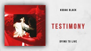 Kodak Black  Testimony Dying To Live [upl. by Icak]