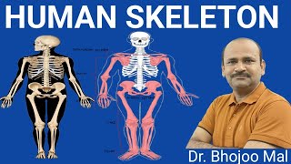 Human Skeleton  Axial Skeleton by Dr Bhojoo Mal [upl. by Gerrard]