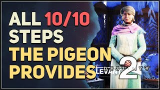 All 10 Steps The Pigeon Provides Destiny 2 [upl. by Abdulla]