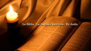 Partes de la Biblia Católica [upl. by Aubert]