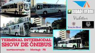 Um SHOW de ÔNIBUS  Transporte Urbano de Maringá no Terminal Urbano Intermodal [upl. by Noelopan450]