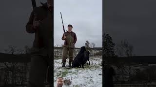 dog gundogtraining hunting gundog doberman guardog longdog labrador pegdog shark [upl. by Mungovan]