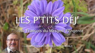 1345  Les Ptits déj spirituels  Mais ils nen trouvèrent pas  Matthieu 2660 [upl. by Addam]