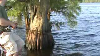 crappiecom reelfoot lake may 23 [upl. by Rednazxela]