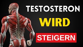 Die 12 besten Lebensmittel zur Steigerung des Testosteronspiegels Testosteronsteigernde Lebensmitte [upl. by Camroc489]