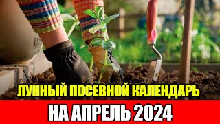 Лунный Посевной Календарь на АПРЕЛЬ 2024  Сажаем только в БЛАГОПРИЯТНЫЕ ДНИ [upl. by Windsor]