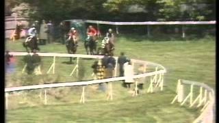 1976 Whitbread Gold Cup Handicap Chase [upl. by Yekim]