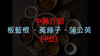 單方中藥介紹EP03 板藍根 菟絲子 蒲公英 [upl. by Alwyn628]