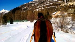 MON CHEVAL PACO apprentissage ski joering accessible aux mobiles et tablettes [upl. by Nagud390]