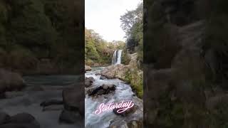 nz newzealnd travel waterfall northisland kiwi punjabi tawhaifalls falls [upl. by Celestina]