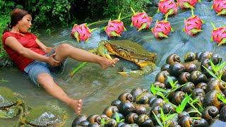 survive in the jungle  Found Crab and egg at river  Cooking Soup Crab for food in forest [upl. by Bazluke616]