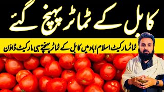 International Tomatoes Market Islamabad Update  5 July 2024  Kabul KPK Punjab Tomatoes Auction [upl. by Aremus]