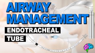 Anatomy of the Endotracheal Tube ET Tube  Airway Management [upl. by Aimekahs]