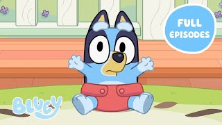 Heeler Family Time 💙 🧡  Full Episodes  Baby Race Asparagus and More  Bluey 💙 [upl. by Eciralc]