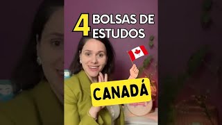 Como fazer intercâmbio gratuito no Canadá 4 bolsas de estudos [upl. by Anaujik832]