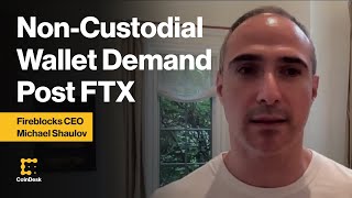 Fireblocks CEO on NonCustodial Wallet Service Demand in Wake of FTX Collapse [upl. by Atenik65]