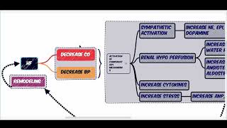 PATHOPHYSIOLOGY OF HEART FAILURE  COMPENSATORY MECHANISMS  RAAS  SNS  CYTOKINES [upl. by Erdah670]