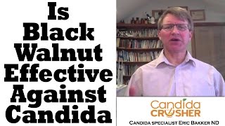 Is Black Walnut Effective Against Candida [upl. by Ynabe]