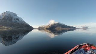 Wreck Diving in Norway MS Welheim [upl. by Steere]