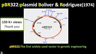 pBR322 Gene Cloning Vector Explained  Biotechnology biologyexams4u [upl. by Sualohcin]