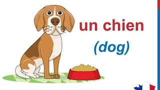 French Lesson 58  ANIMALS in French Vocabulary LES ANIMAUX en français Animales en francés [upl. by Fedora]