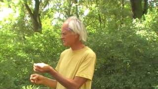 Wildkräuterwanderung mit Prof Dr Bernd Gerken [upl. by Ahsieat]