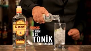 Gordons Gin Tonik [upl. by Aneen]