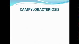 Campylobacteriosis ppt [upl. by Kyte]