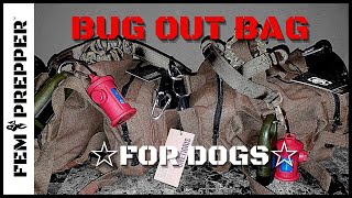 BUG OUT BAG FOR DOGS  WHAT TO PACK IN A PET EMERGENCY KIT [upl. by Nnyltiac]