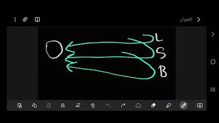 immunological Tolerance part 1 [upl. by Ardnuaet]