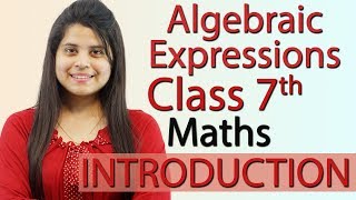 Algebraic Expressions  Chapter 10  Introduction  NCERT Class 7th Maths Solutions [upl. by Eihcir110]