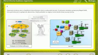 Biologia Hierarchiczna budowa organizmu wiedza [upl. by Aittam]