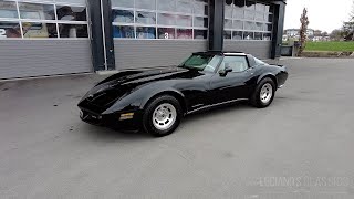 1980 Chevrolet Corvette C3 L82 Walkaround Startup and Sound [upl. by Katherin]