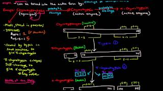 Enzyme Regulation Part 5 of 5  Covalent Modification  Irreversible [upl. by Mehalick588]