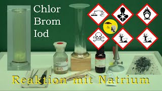 Reaktivität der Halogene  Chlor Brom Iod mit Natrium [upl. by Eymaj]