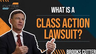 What Is a Class Action Lawsuit [upl. by Melesa]