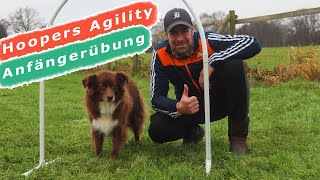 Hoopers Agility  So lernt dein Hund ganz EINFACH Hoops kennen [upl. by Toft]