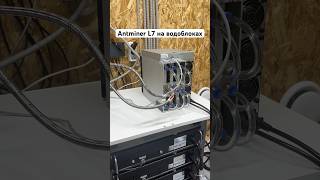 Antminer L7 на водоблоках Охлаждение Асиков водой [upl. by Notrem]