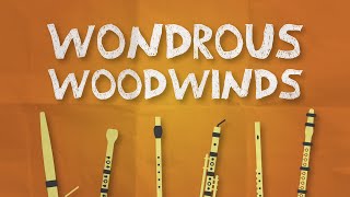 An Orchestra Adventure  Webisode 1 Wondrous Woodwinds [upl. by Bartram]