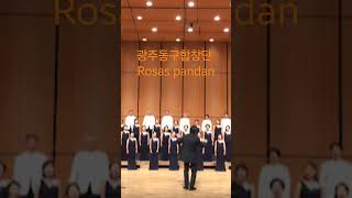 광주동구합창단 Rosas Pandan [upl. by Oderfigis]