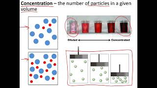 GCSE Biology  Edexcel paper 1 EVERYTHING you need to know [upl. by Kursh]