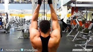 Back Bodybuilding Workout hodgetwins [upl. by Ayek705]