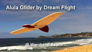 Alula Glider  Wamberal Beach [upl. by Milano]