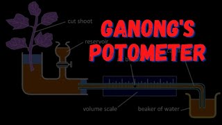 Ganongs Potometer  Transpiration rate BSc Botany Practical [upl. by Ariik]