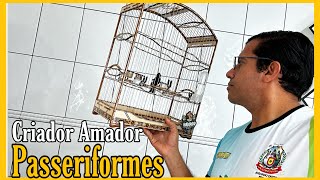 O QUE É UM CRIADOR AMADOR DE PÁSSAROS [upl. by Alderson208]