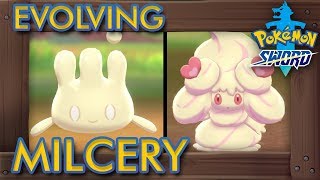 Pokémon Sword amp Shield  How to Evolve Milcery into Alcremie All 8 Forms [upl. by Neelik]