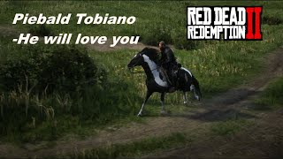 Piebald Tobiano Hungarian Halfbred in Chapter 2  Easy  Red Dead Redemption 2 [upl. by Zetana]